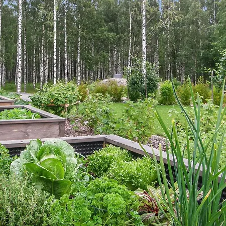 Holiday Paasirinne A Prázdninový dům